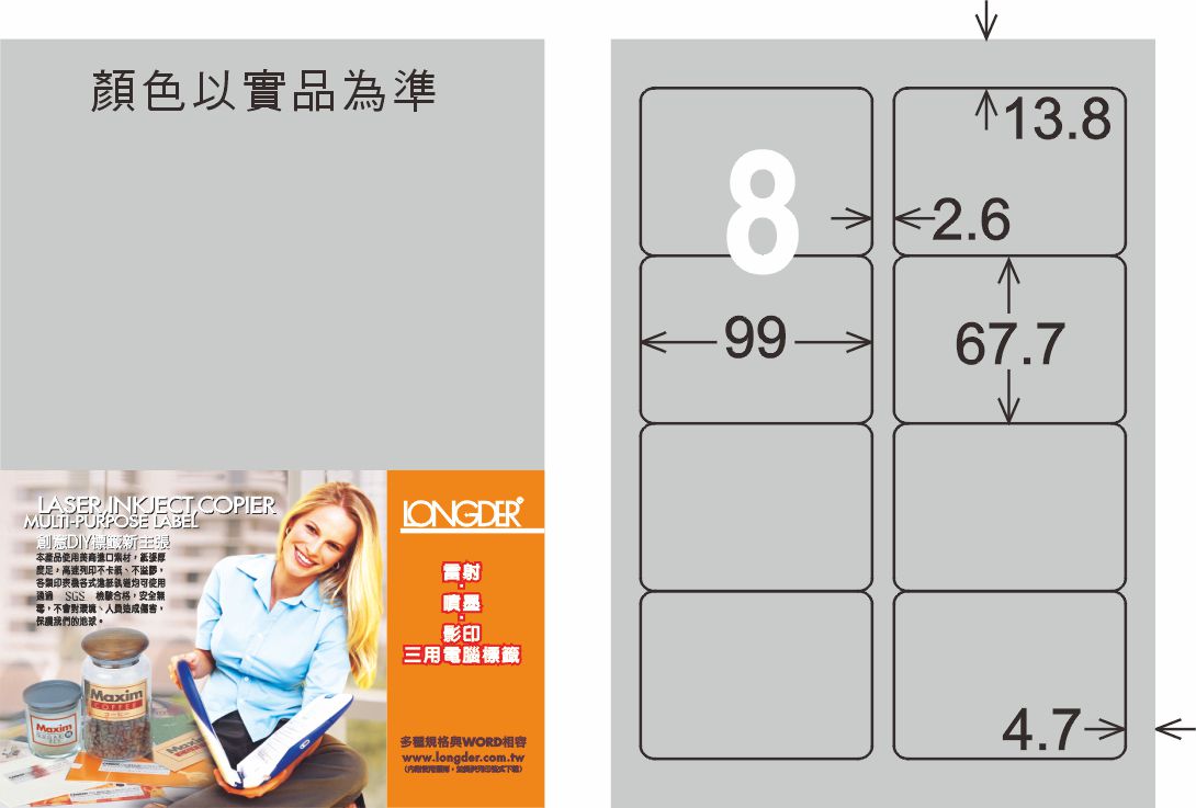 龍德 LD-862-S-C A4雷射影印標籤 銀色 / 包