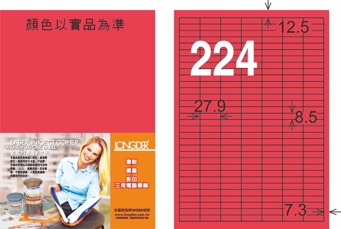 龍德 LD-872-FR-C A4雷射影印標籤 螢光紅 / 包